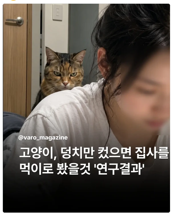 고양이 연구결과 ㄷㄷㄷ