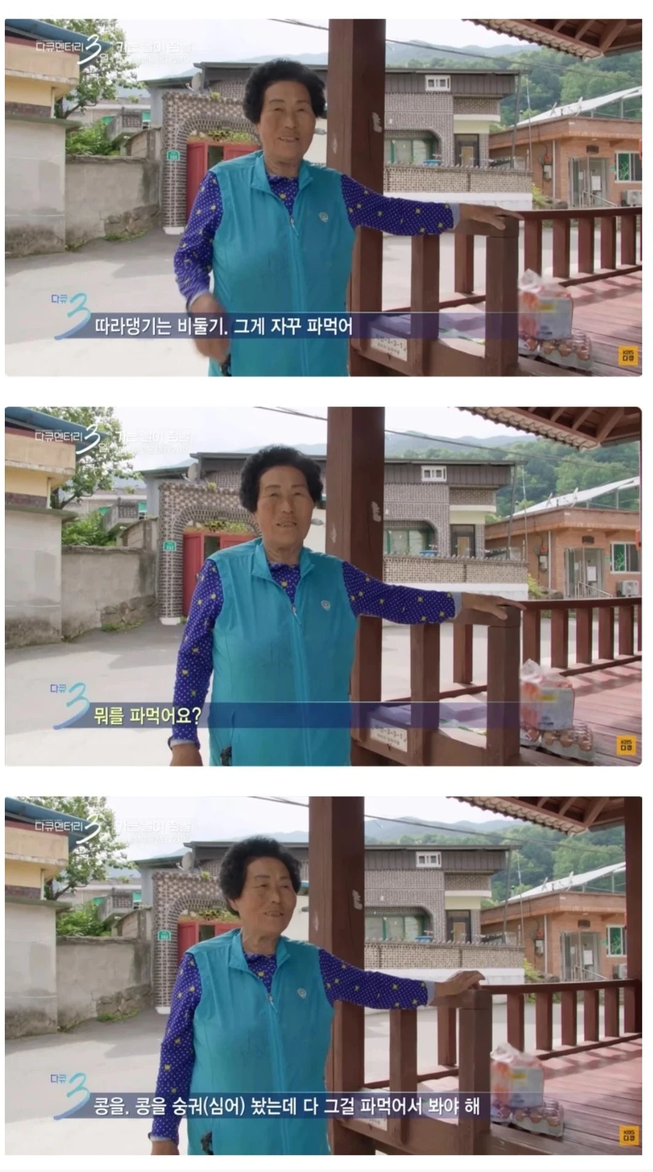 서울놈들은 말귀를 못알아먹냐