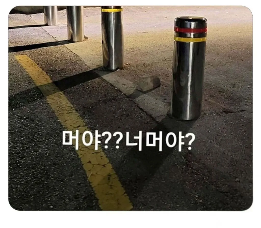 분명 고양이가 식빵 굽고 있었는데,,