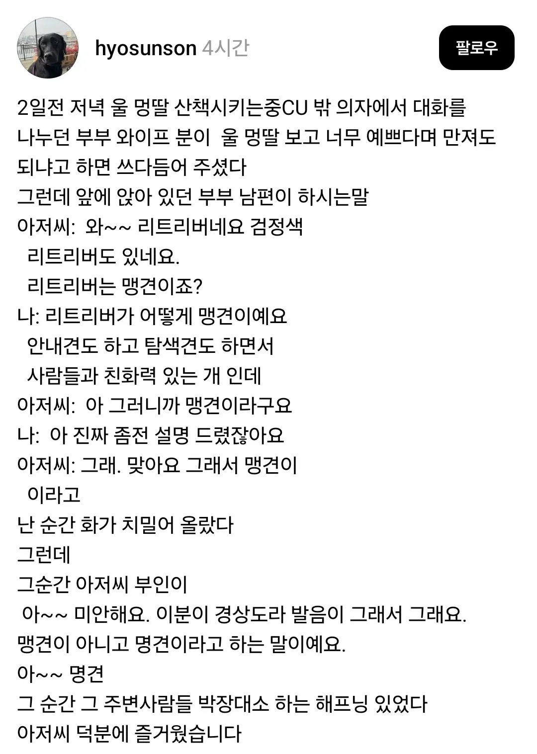 리트리버 보고 자꾸 맹견이라 우기는 아저씨 때문에 화가 난 견주