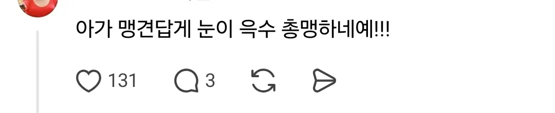 리트리버 보고 자꾸 맹견이라 우기는 아저씨 때문에 화가 난 견주
