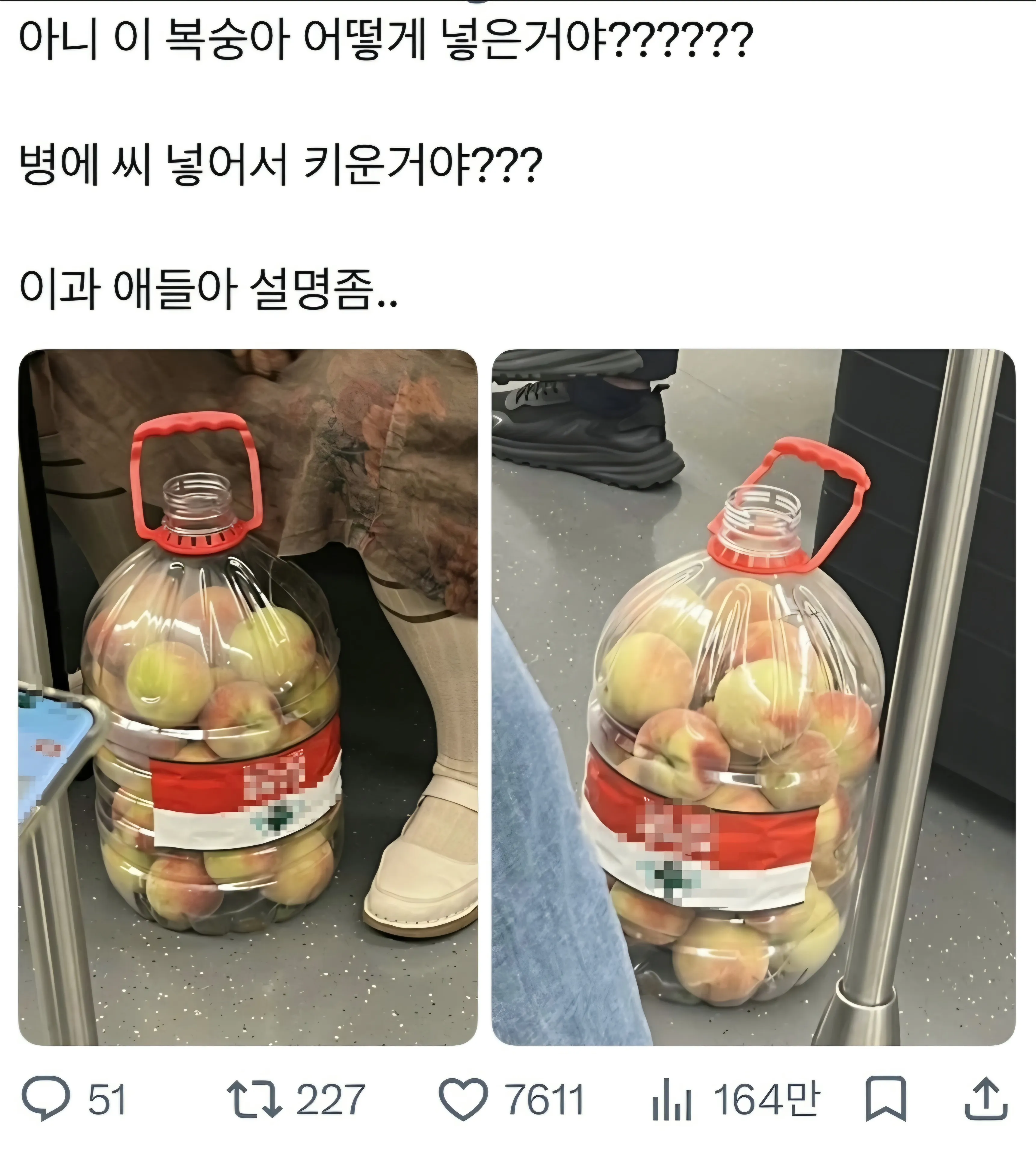 복숭아 어케 넣은거야?.jpg
