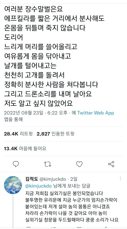 장수말벌 앞에서 아방수가 된 트위터리안