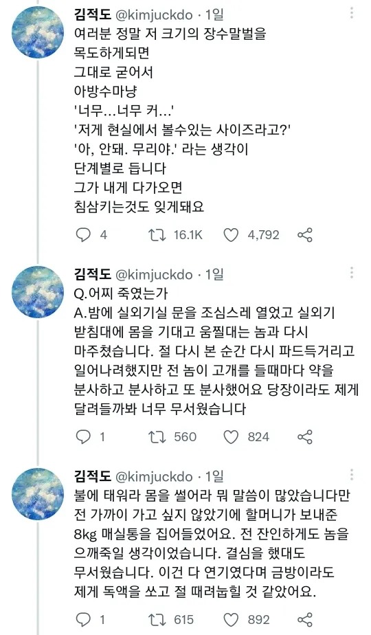 장수말벌 앞에서 아방수가 된 트위터리안