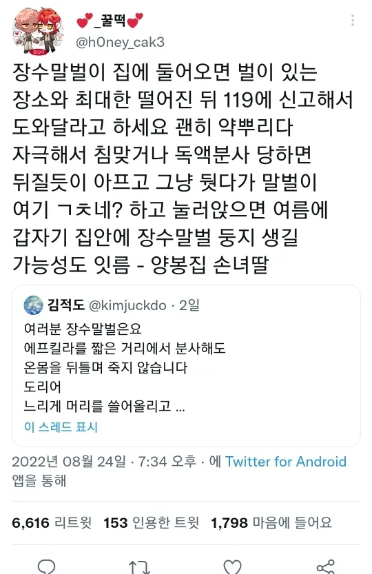 장수말벌 앞에서 아방수가 된 트위터리안