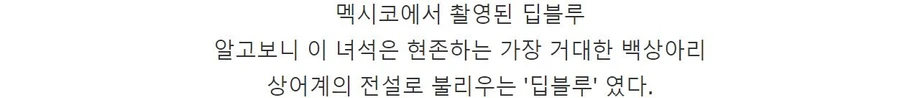 고래 먹방하던 상어들이 사라진 이유.jpg