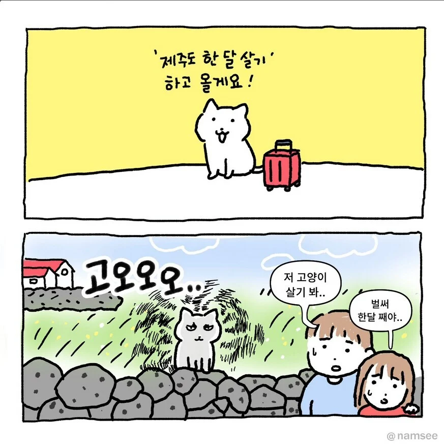제주도 한달 살기 하는 고양이.manhwa