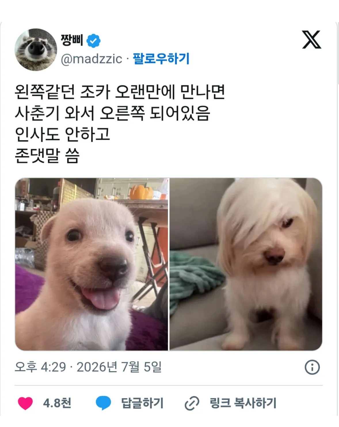 오랜만에 만난 조카 특징.jpg