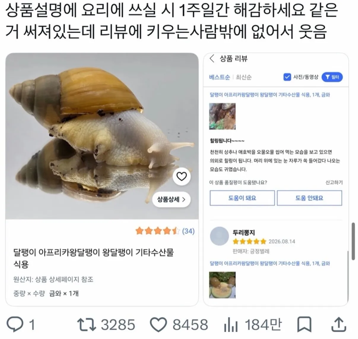 식용 달팽이.jpg