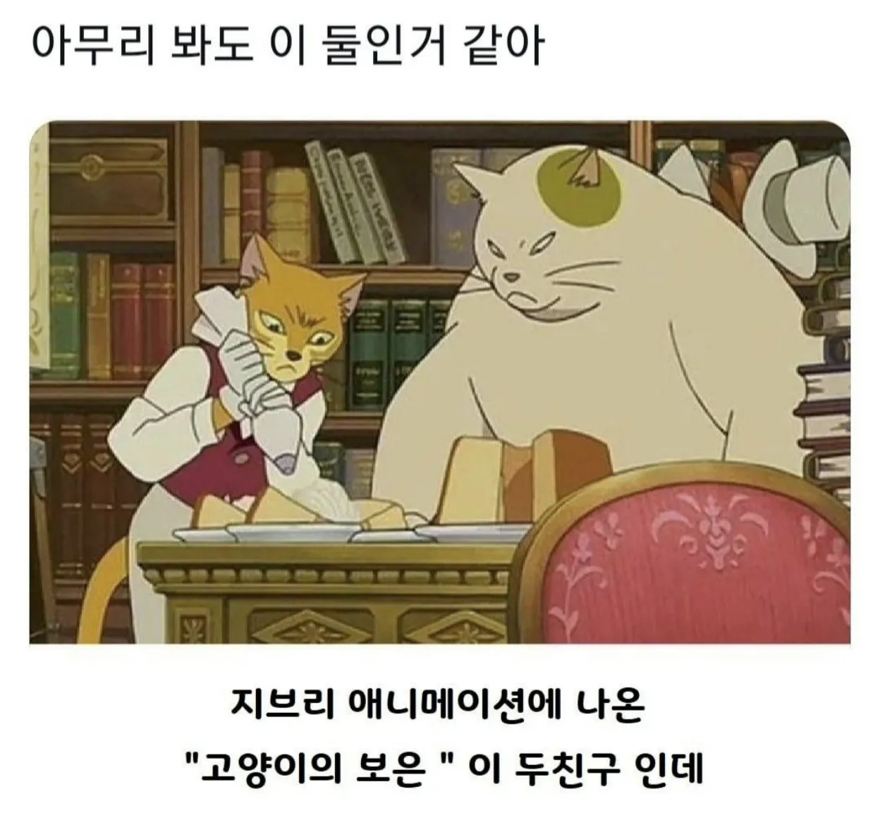 이거 아무리봐도 이 둘인것 같아.jpg