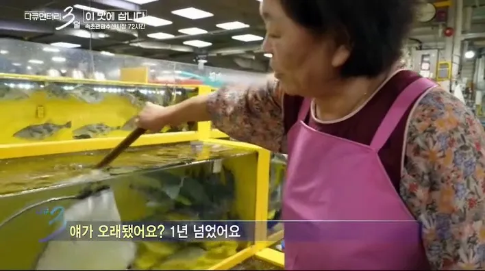 다큐 3일에 출연한 반려 가오리