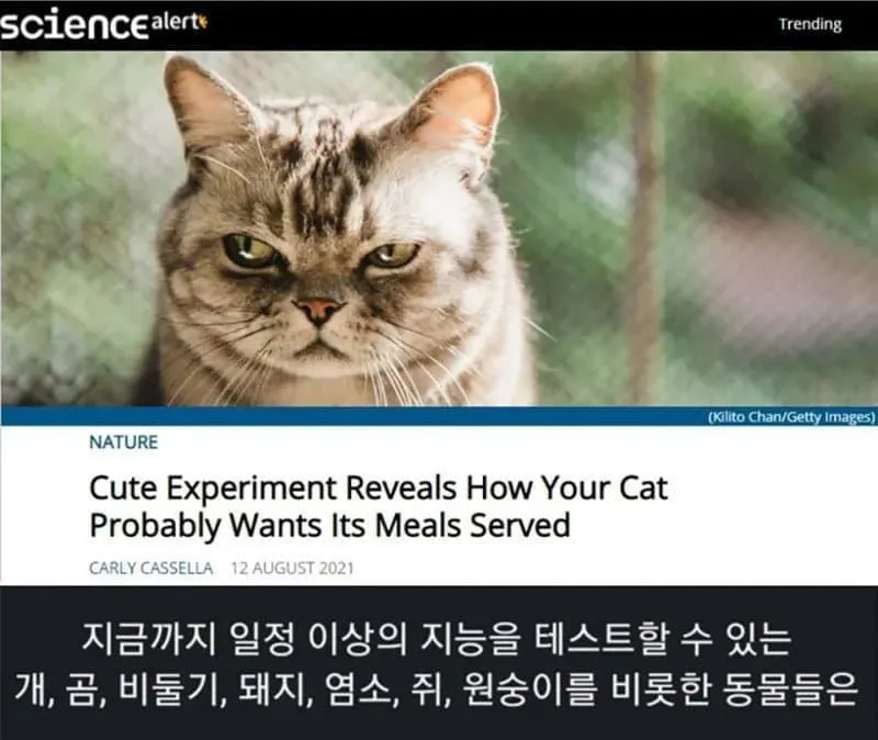 ??? : 밥줘