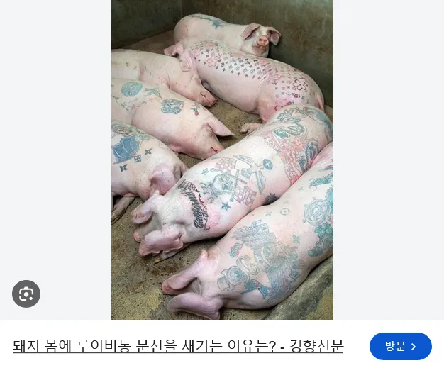 돼지고기를 산 베트남인의 의문