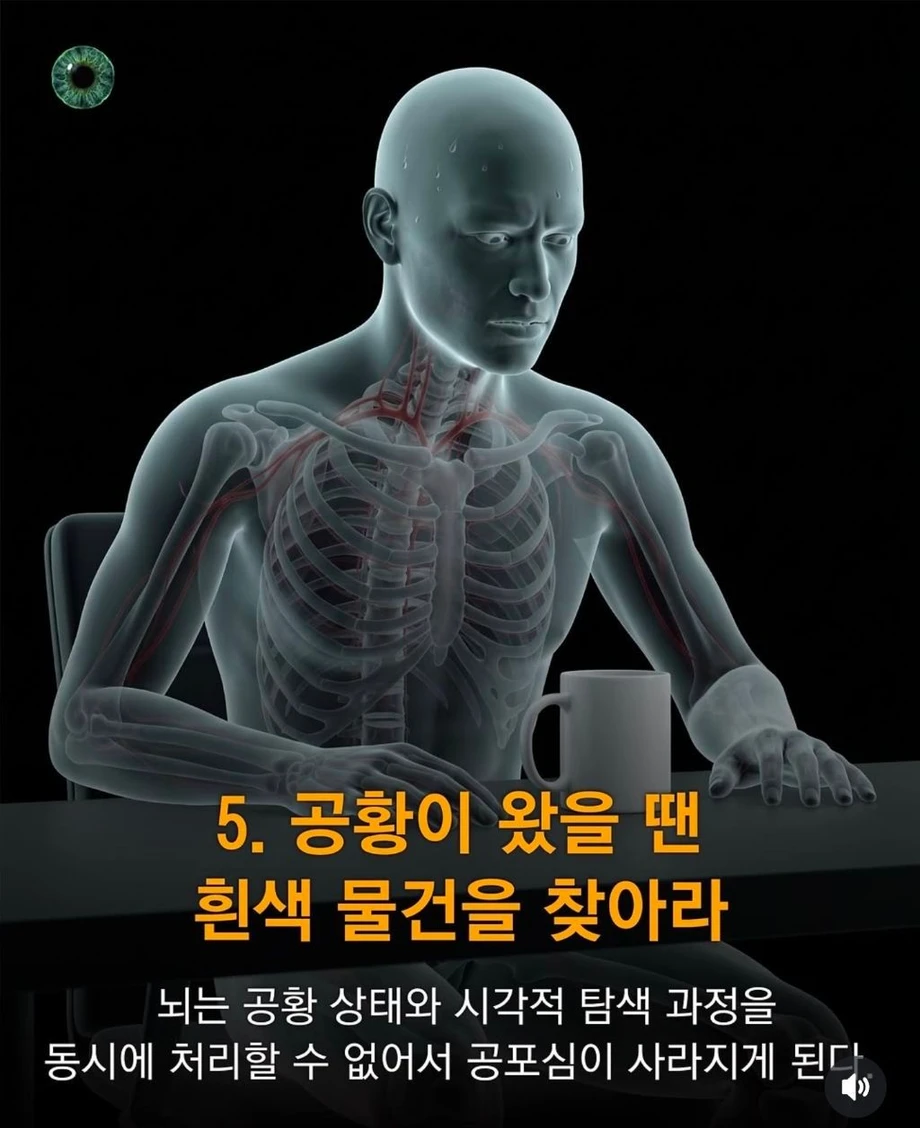 생활속 육신의 응급상황 대처법.jpg