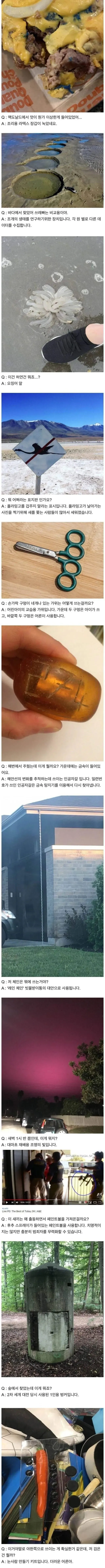 서양의 신기한 지식인 문답.jpg