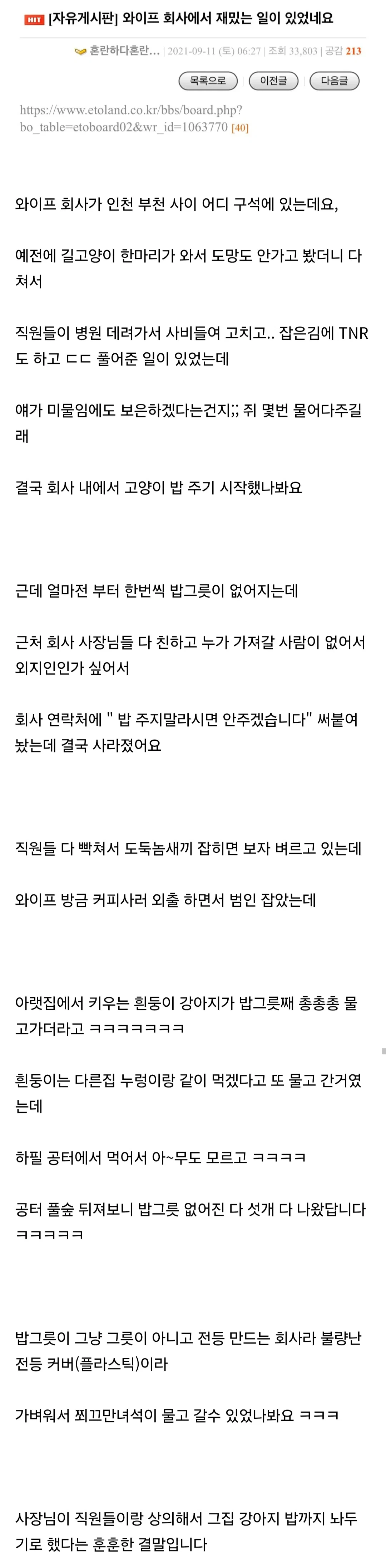 와이프 회사에서 재밌는 일이 있었네요
