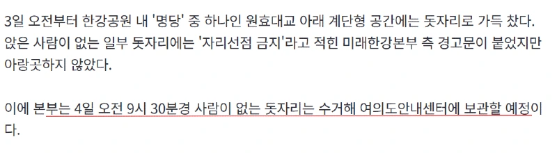 여의도한강공원의 돗자리 최신 근황