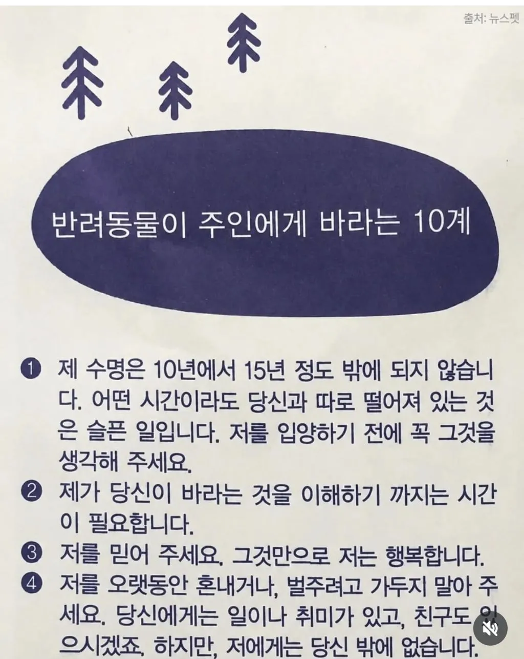 어느 동물 병원의 약봉지