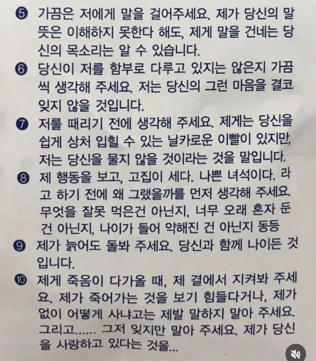 어느 동물 병원의 약봉지