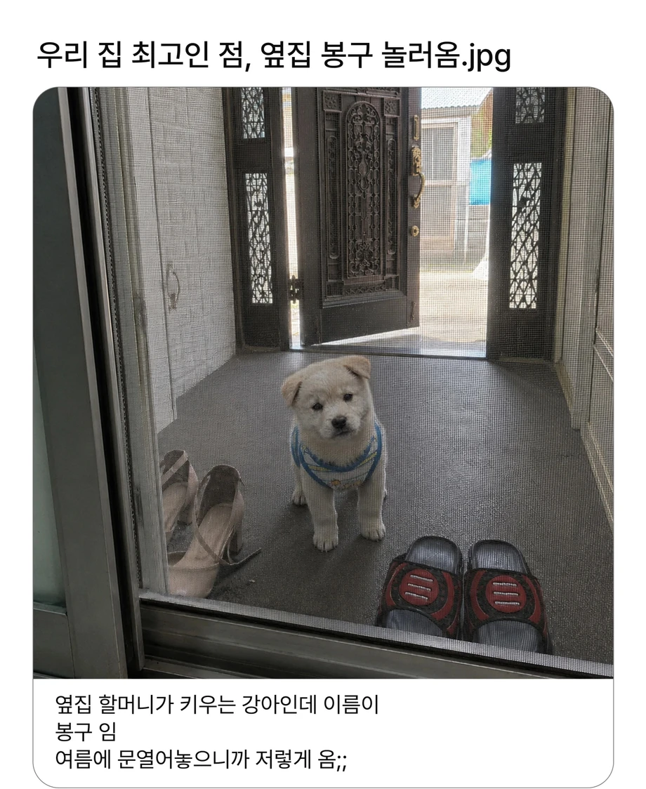 펌)우리집 최고인 점