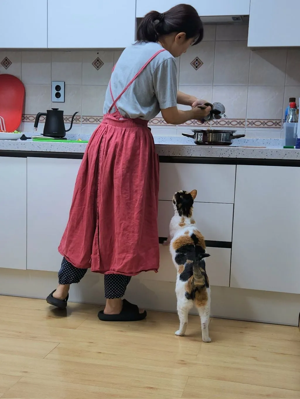 고양이 키우는 집에서 참치김치찌개를 끓였다