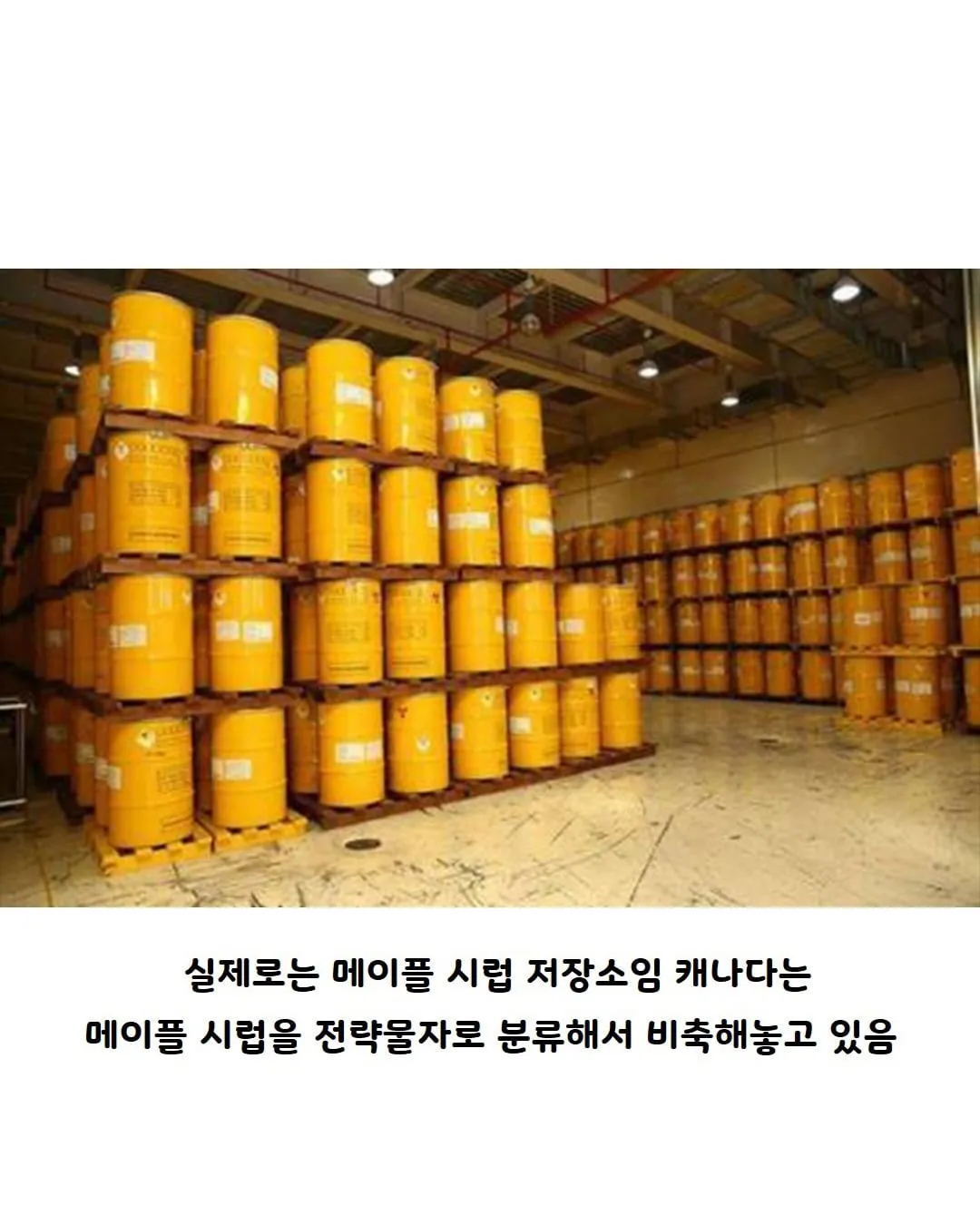 캐나다의 전략 물자.jpg
