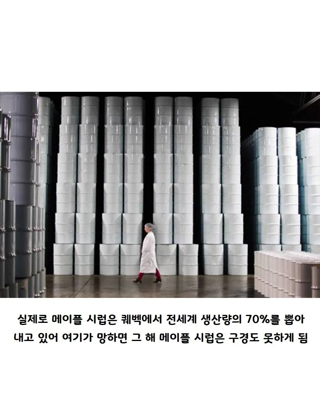 캐나다의 전략 물자.jpg