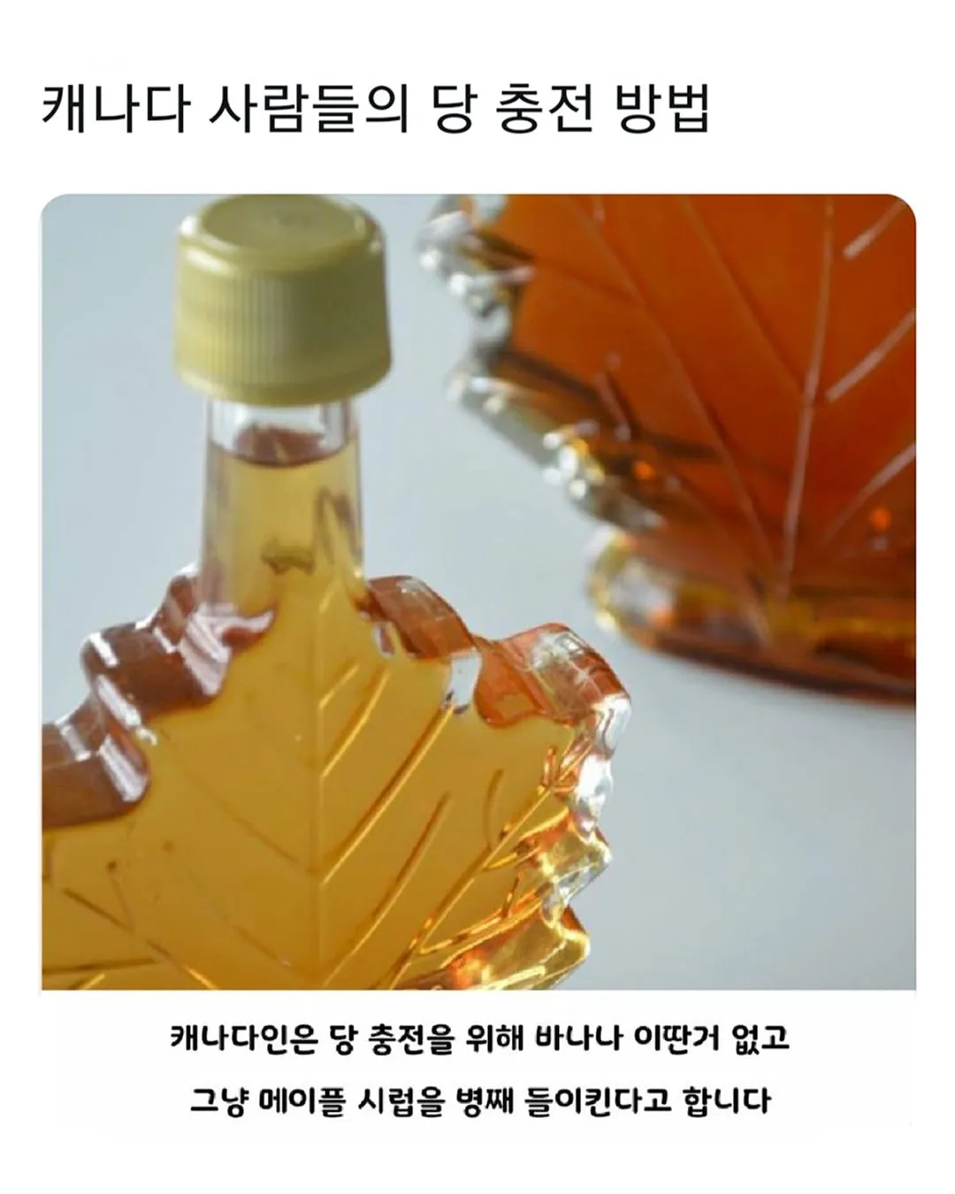 캐나다의 전략 물자.jpg
