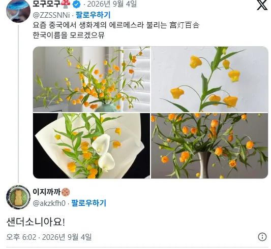 요즘 중국에서 생화계의 에르메스라 불리는 꽃