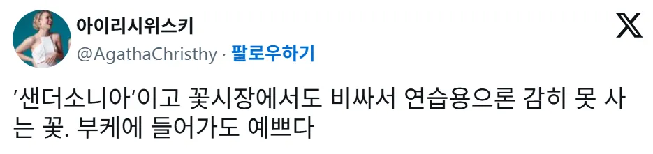 요즘 중국에서 생화계의 에르메스라 불리는 꽃