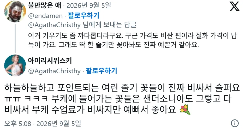요즘 중국에서 생화계의 에르메스라 불리는 꽃