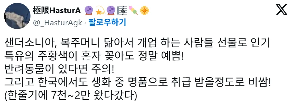 요즘 중국에서 생화계의 에르메스라 불리는 꽃
