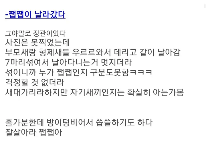 주운 제비 키워 방사한 현대판 흥부 아재.jpg