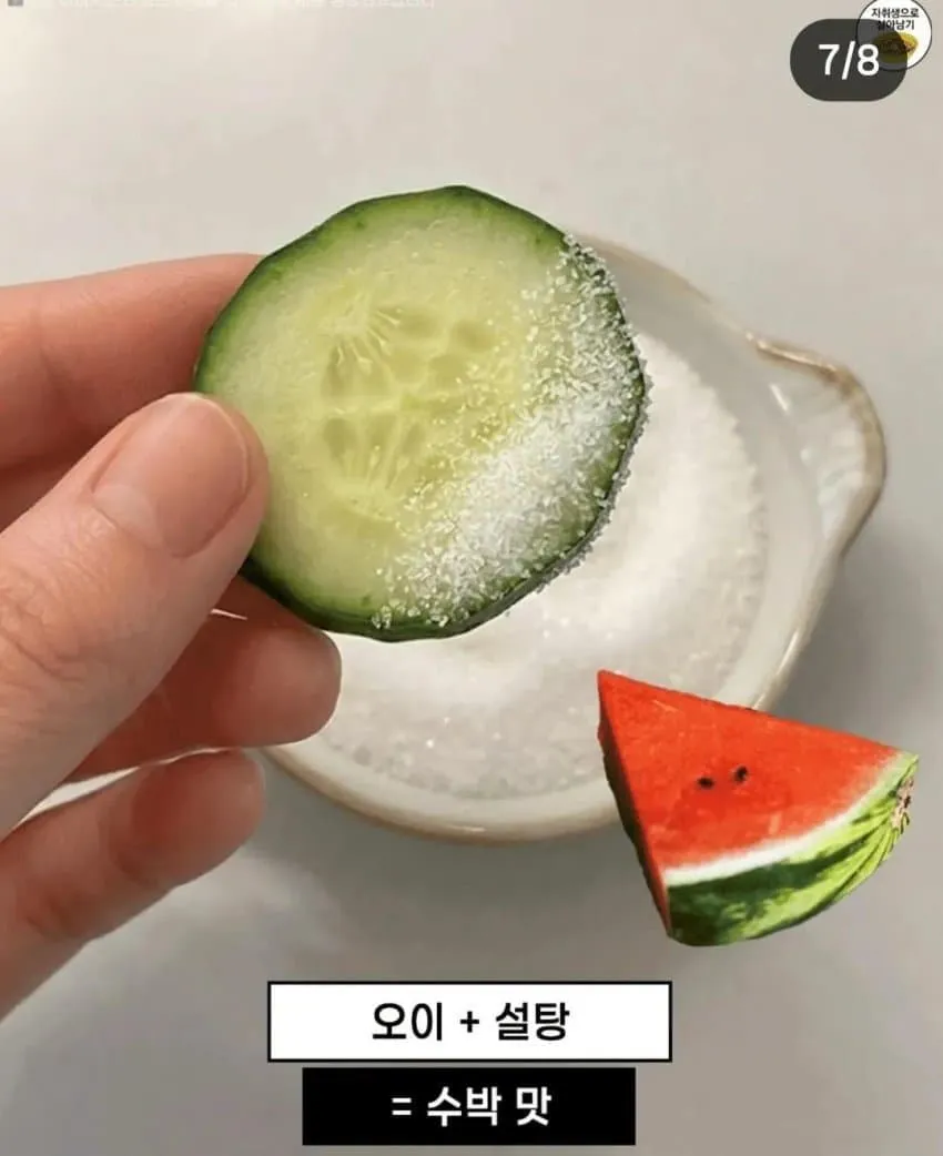 요즘 유행이라는 토마토 김 맛도리 조합.jpg