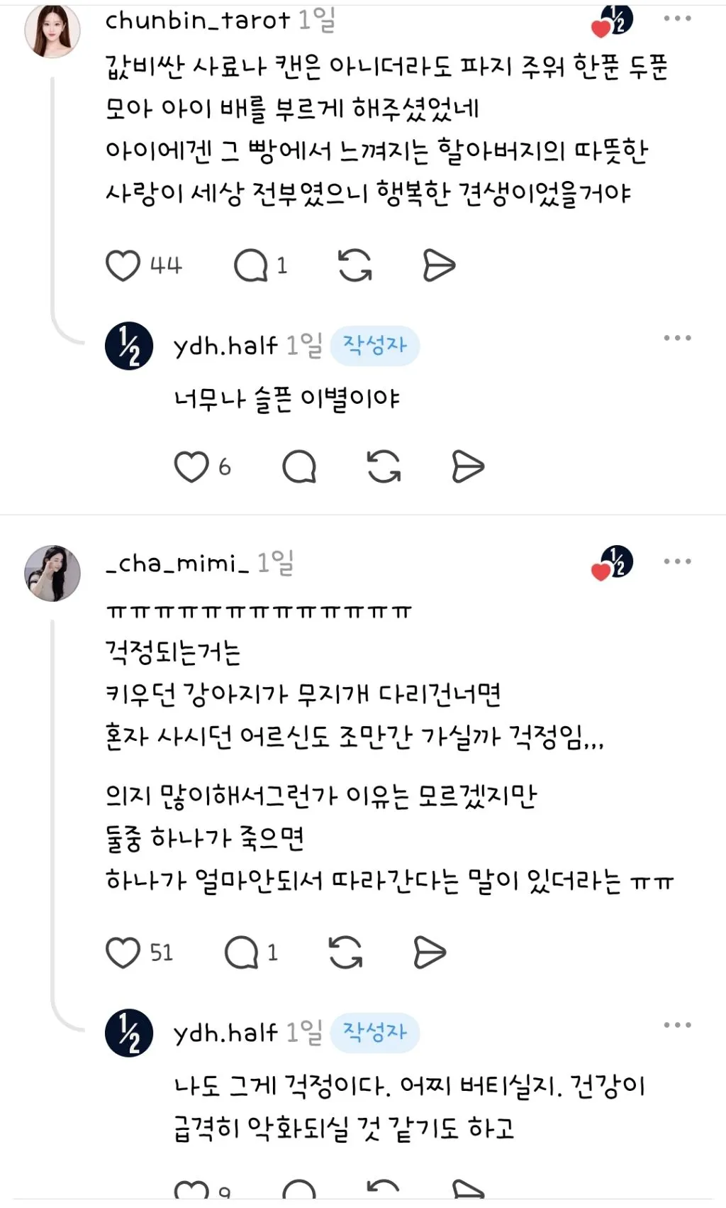 길가에 버려진 늙은 슈나우저를 거두어 8년간 키워온 할아버지