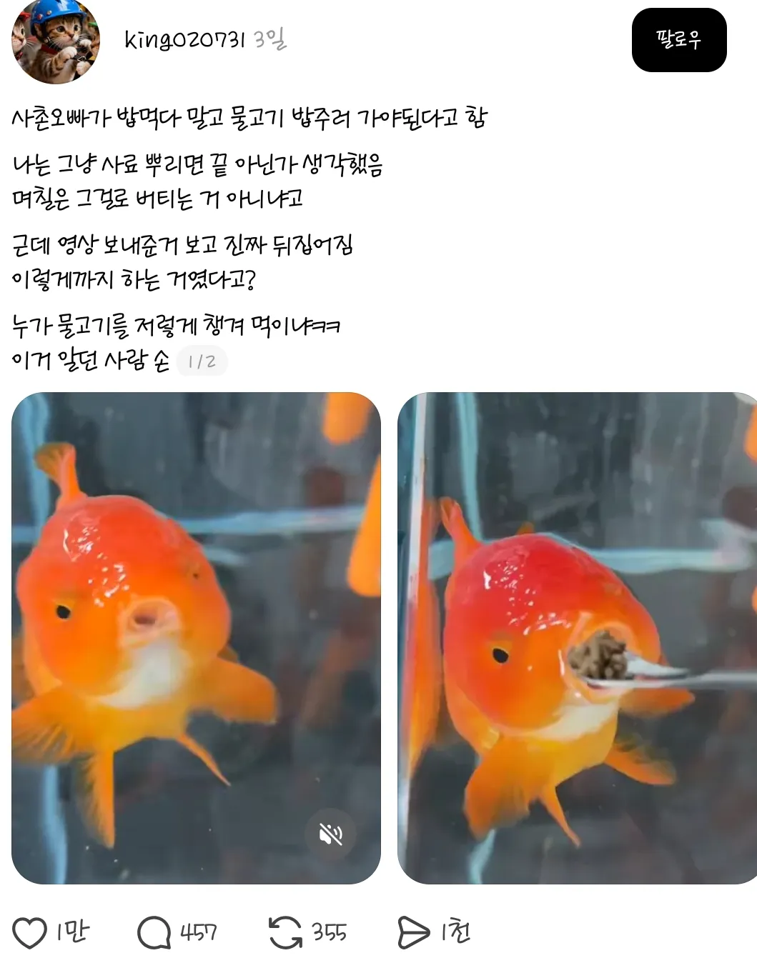 사촌오빠가 밥먹다 말고 물고기 밥주러 가야된다고 함