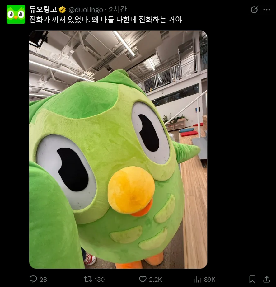아이폰 듀오 출시를 본 듀오링고 근황.duolingo