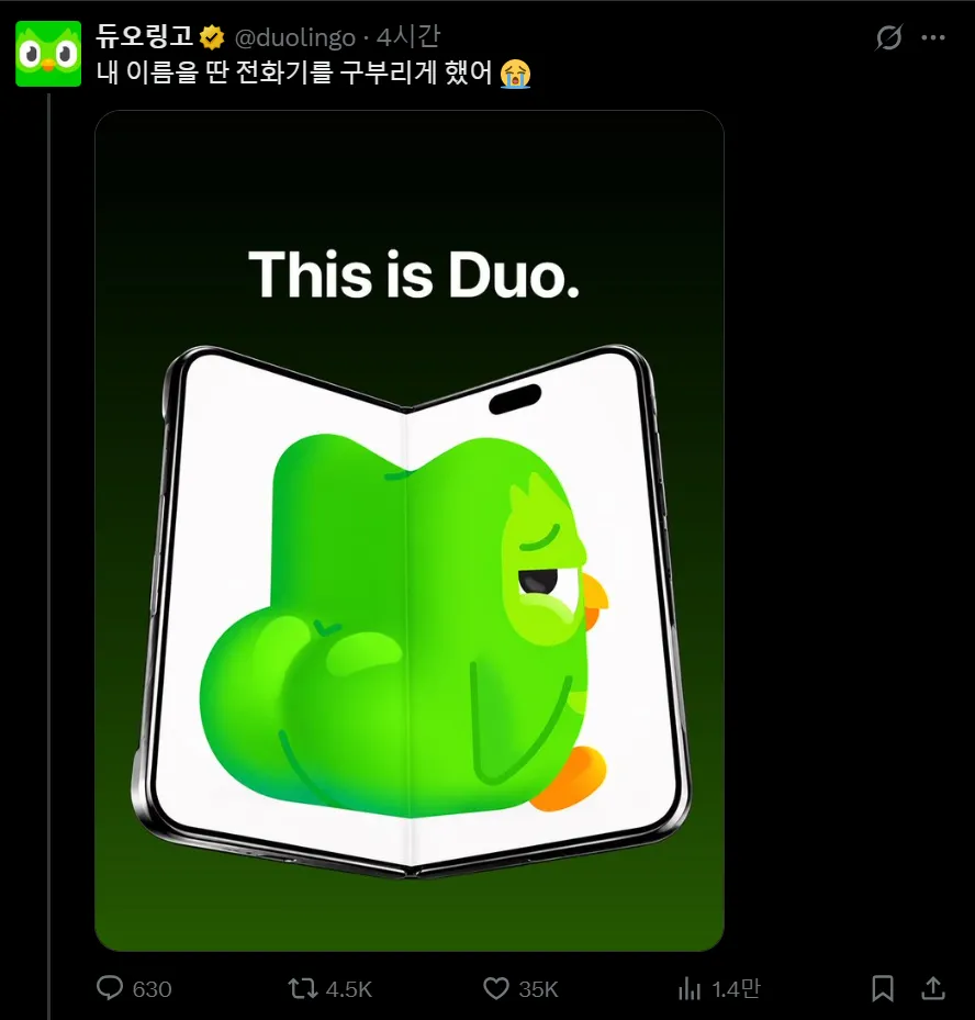 아이폰 듀오 출시를 본 듀오링고 근황.duolingo