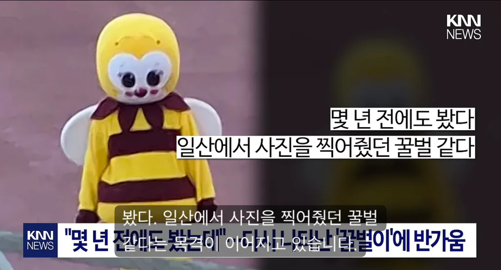 9년째 목격 된다는 꿀벌 인형탈을 쓴 사람