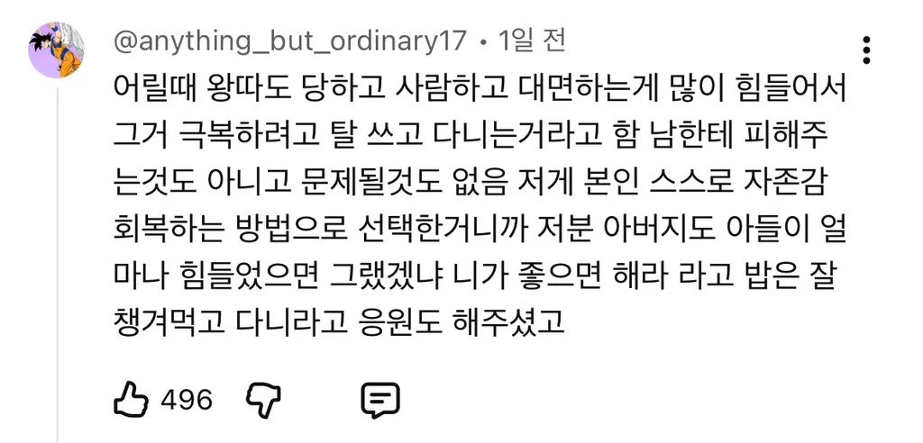 9년째 목격 된다는 꿀벌 인형탈을 쓴 사람