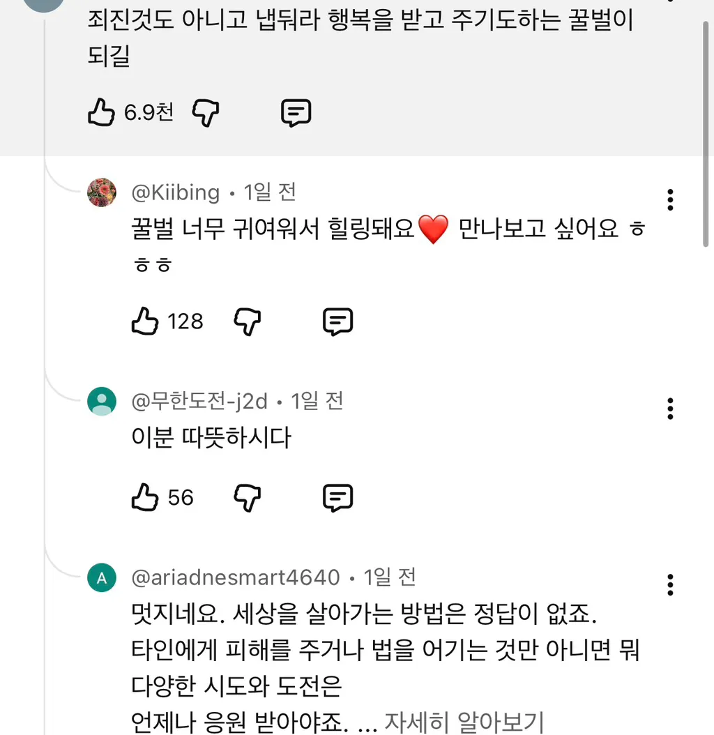 9년째 목격 된다는 꿀벌 인형탈을 쓴 사람