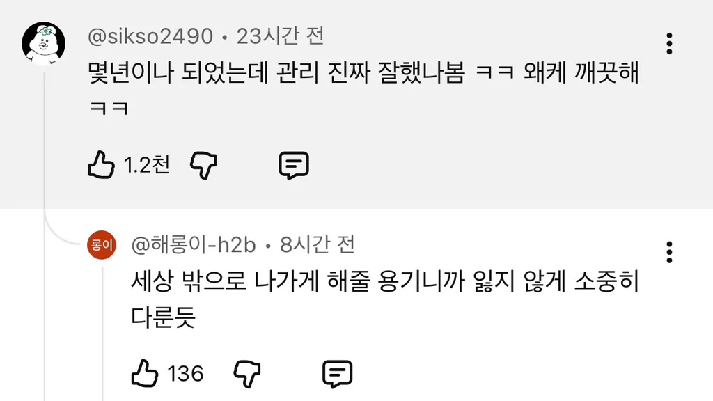 9년째 목격 된다는 꿀벌 인형탈을 쓴 사람