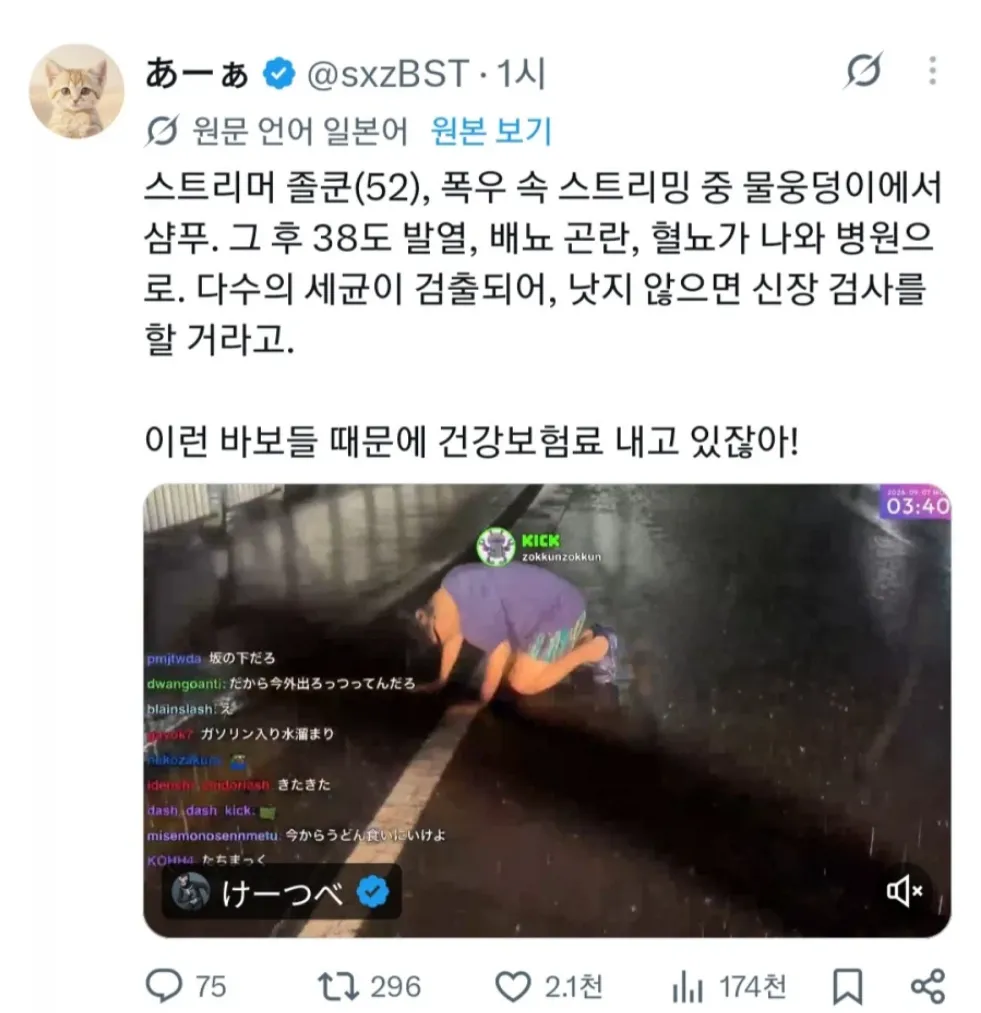 일본) 폭우 내릴때 관종 스트리머가 한 일