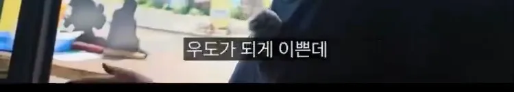 한국인 없는 제주 우도 근황
