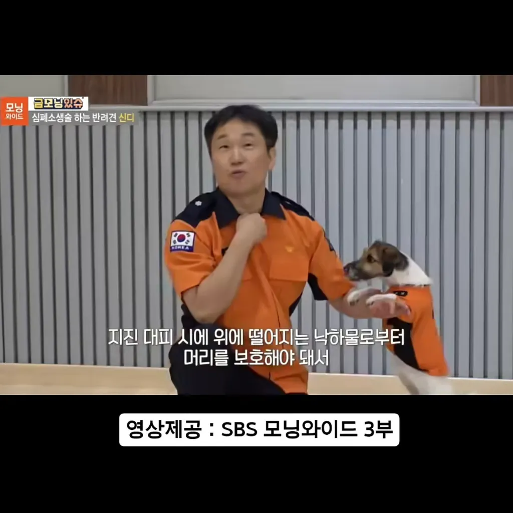 지진 대피 요령