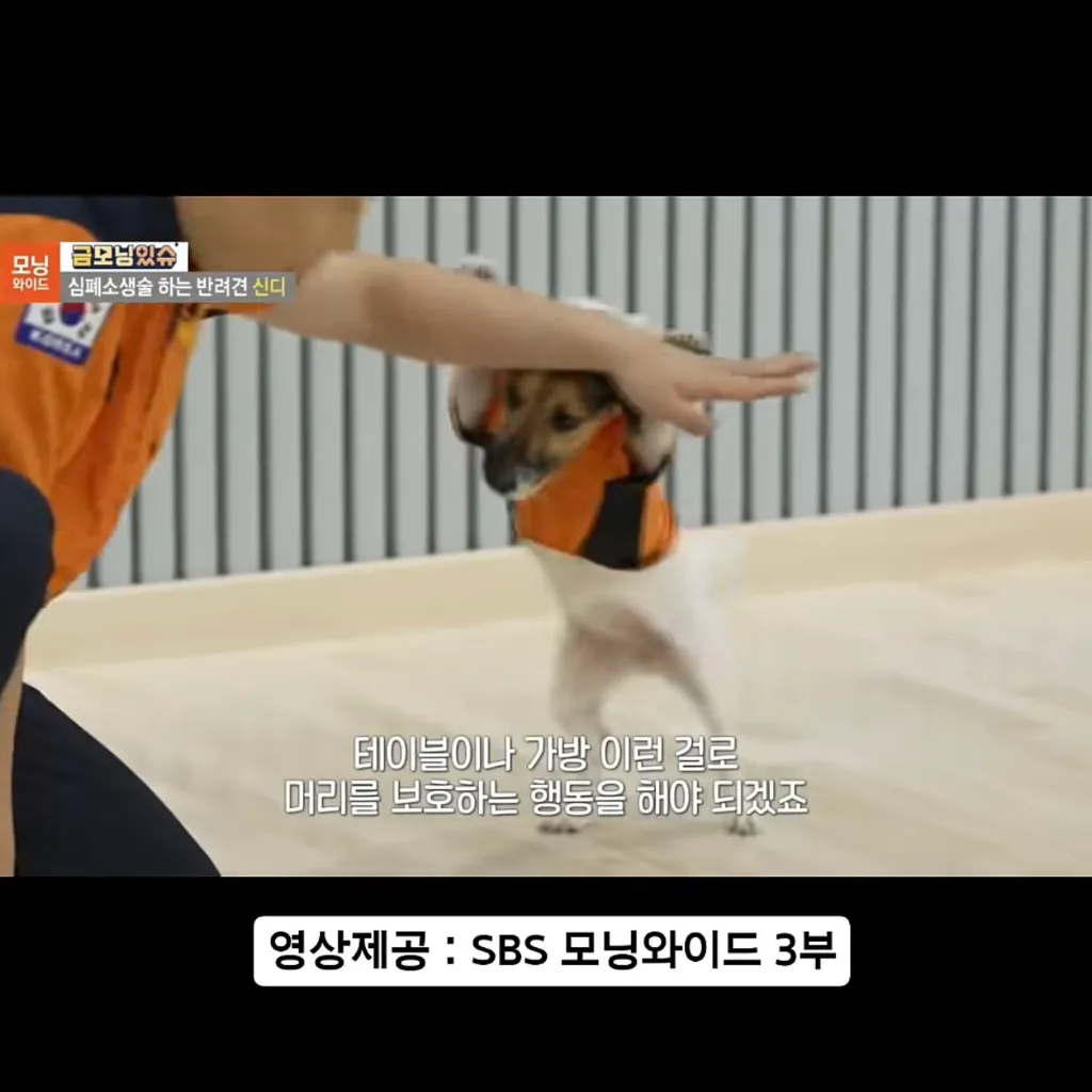 지진 대피 요령