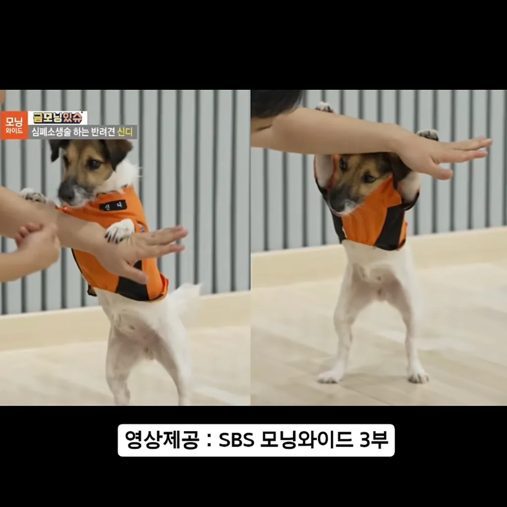 지진 대피 요령
