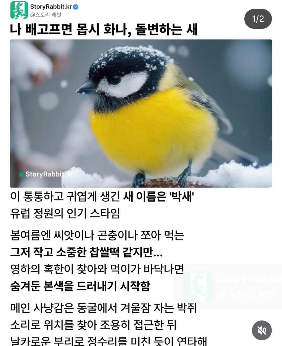 충격주의) 참삐 친구의 충격적인 반전 모습.jpg