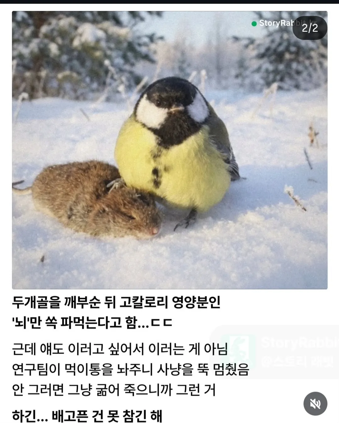 충격주의) 참삐 친구의 충격적인 반전 모습.jpg