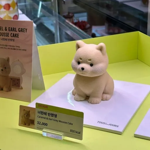 뚜레쥬르 본점에만 판매하는 케이크